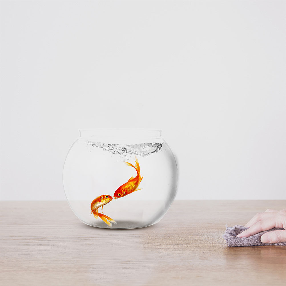 1Set Delicate Clear Fish Bowl  - Planted Aquarium For Goldfish review and price