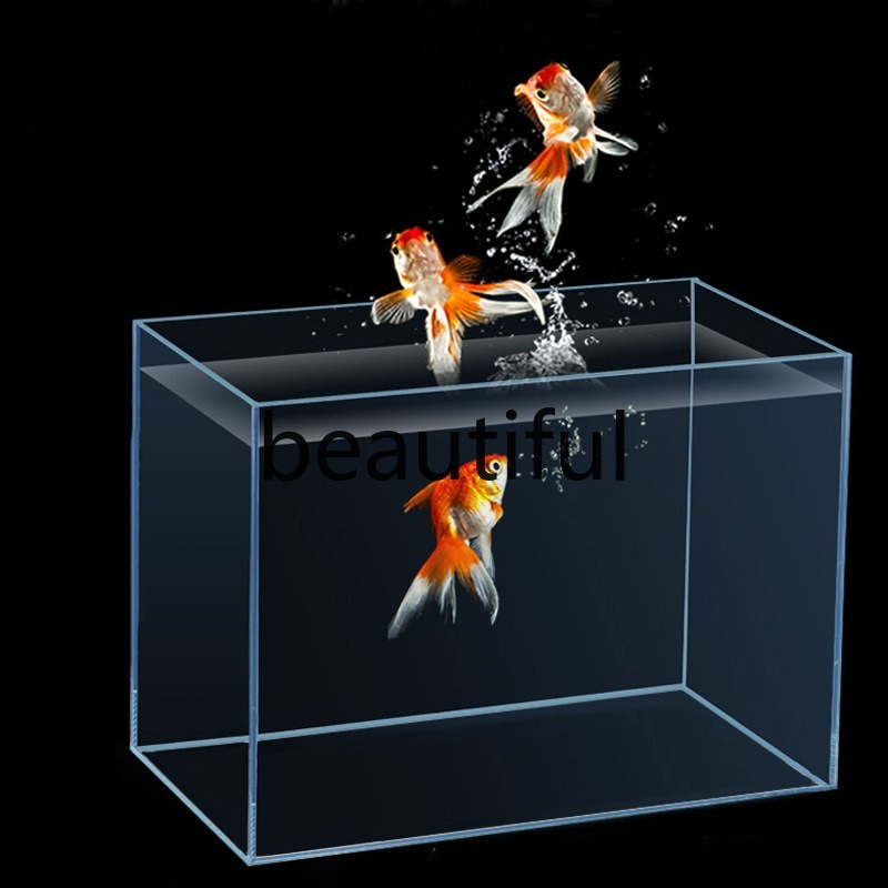 Jinjing ultra-white glass fish - Planted Aquarium For Goldfish review and price