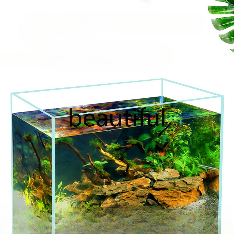 Jinjing ultra-white glass fish - Planted Aquarium For Goldfish review and price