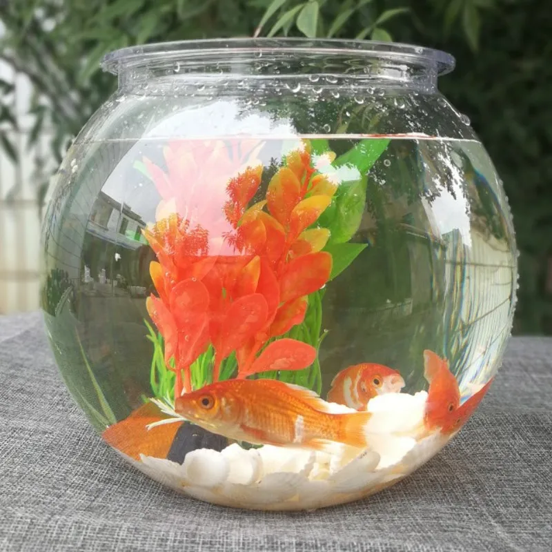 Goldfish bowl desktop transpar - Planted Aquarium For Goldfish review and price