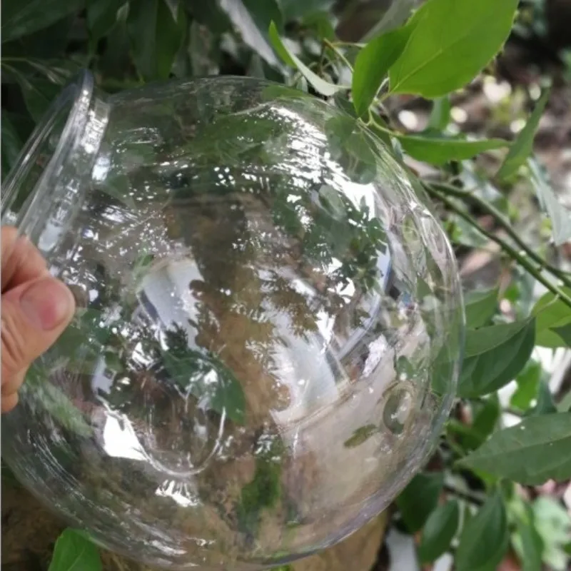 Goldfish bowl desktop transpar - Planted Aquarium For Goldfish review and price