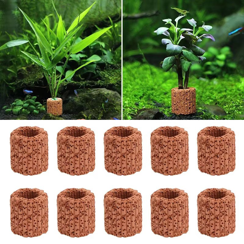 Aquatic Plant Fixed Ring for A - Aquarium Plant Utensils review and price