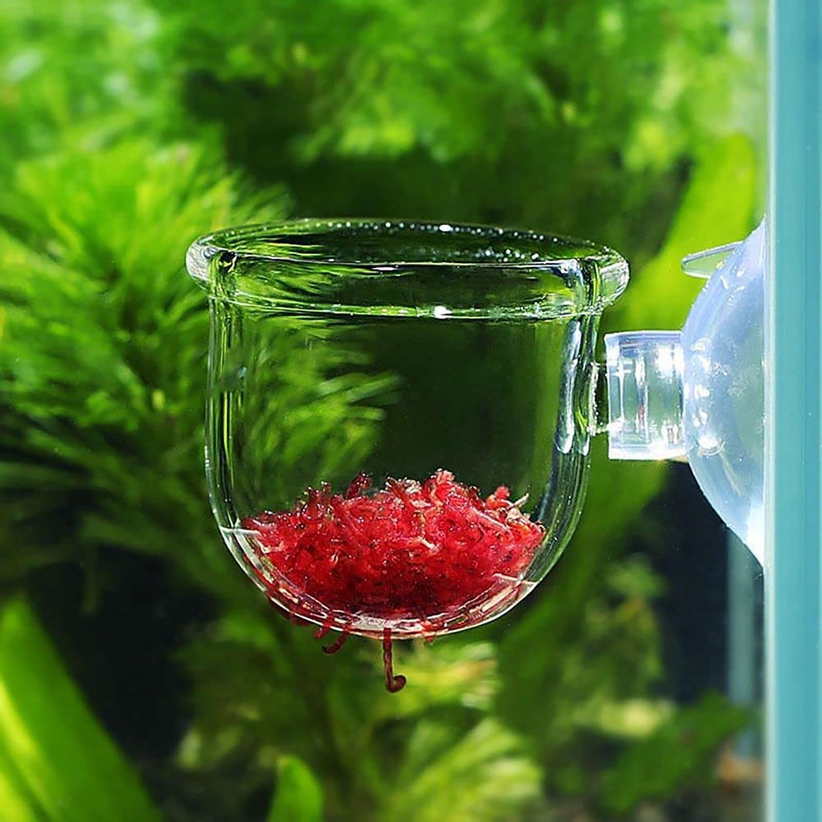 Aquarium Decoration Plant Cup  - Aquarium Plant Utensils review and price