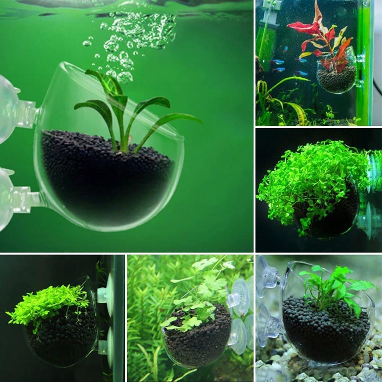 Aquarium Decoration Plant Cup  - Aquarium Plant Utensils review and price