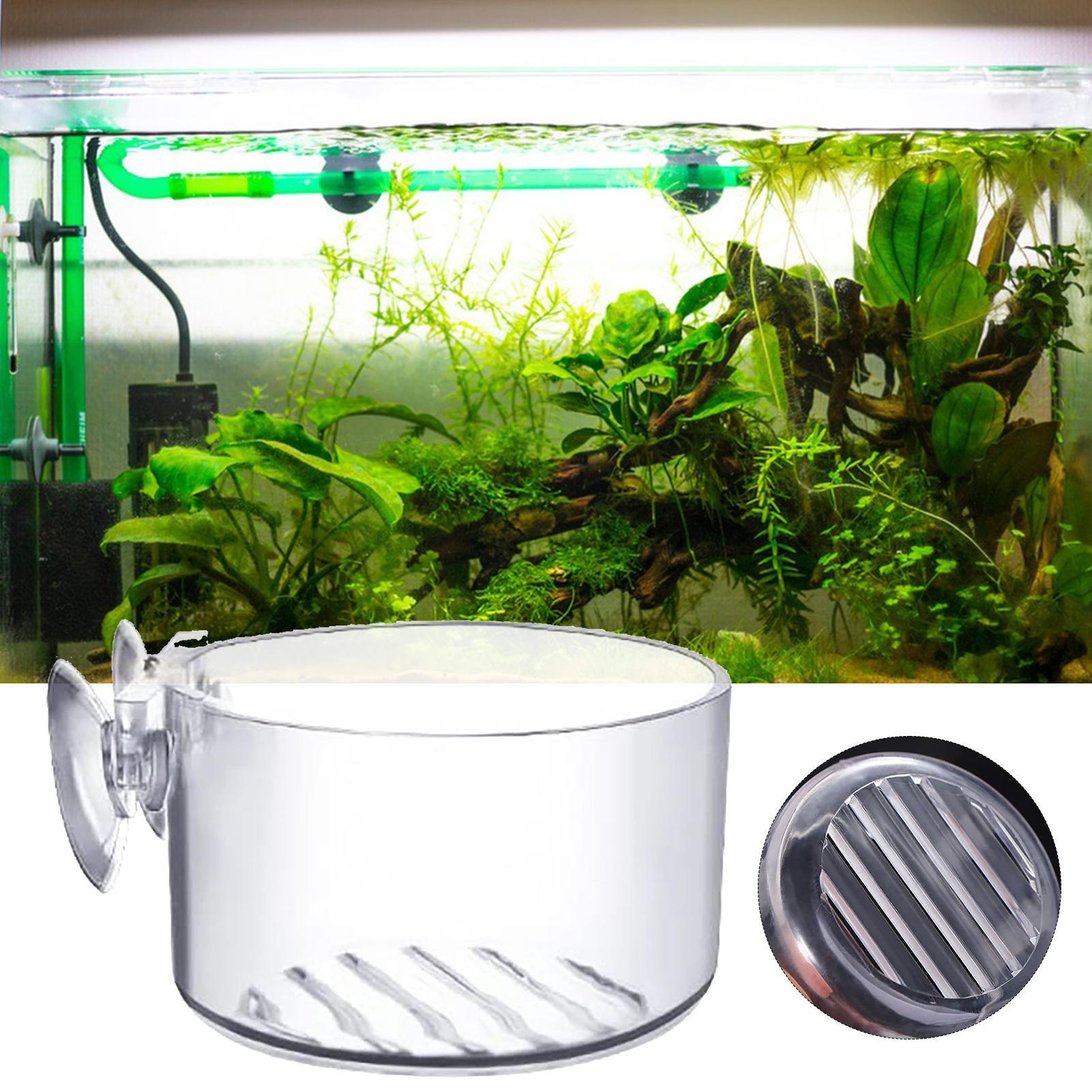 Aquarium Decoration Plant Cup  - Aquarium Plant Utensils review and price