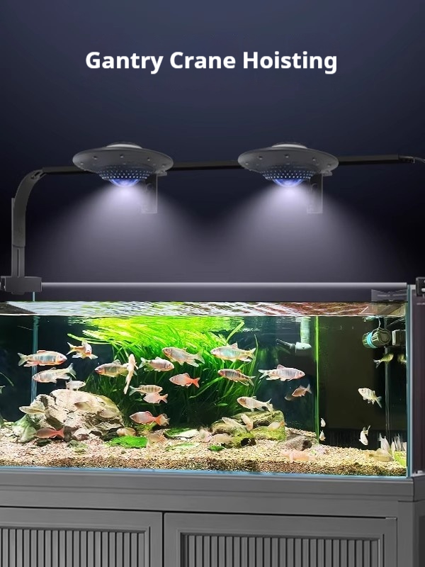 UFO Fish Aquarium Light, Full- - Planted Aquarium For Goldfish review and price