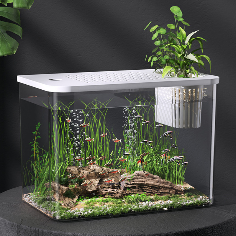 Plastic Aquarium With Lid Clea - Planted Aquarium For Goldfish review and price