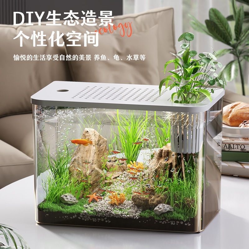 Plastic Aquarium With Lid Clea - Planted Aquarium For Goldfish review and price
