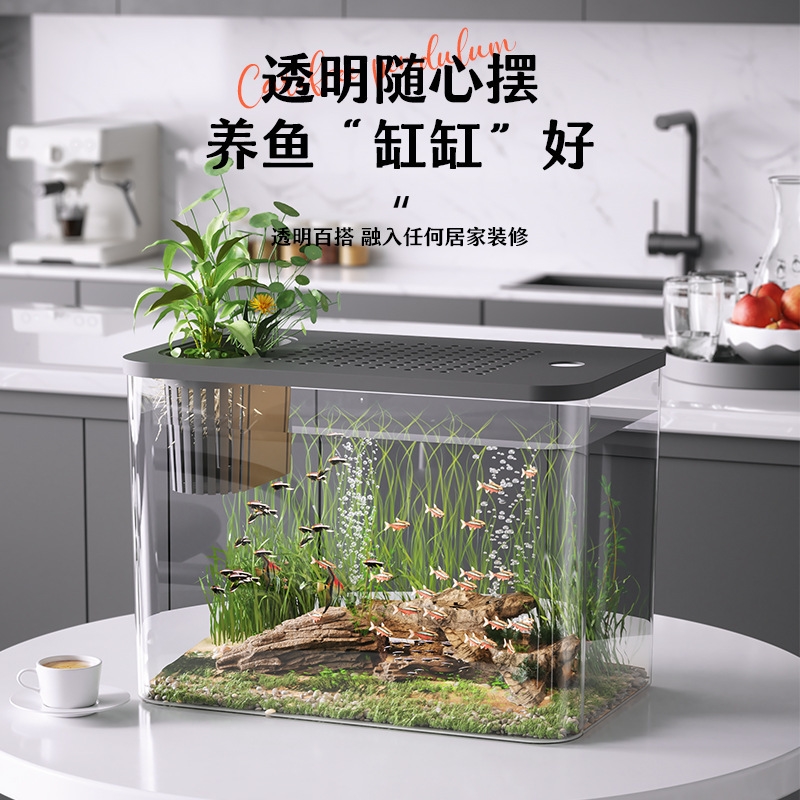 Plastic Aquarium With Lid Clea - Planted Aquarium For Goldfish review and price