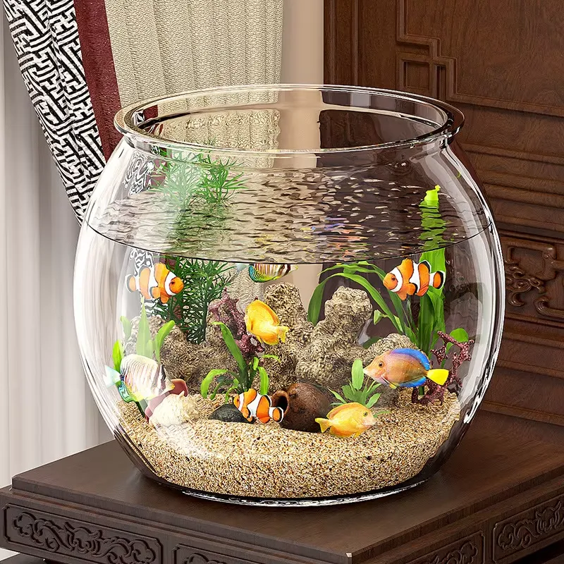 High Quality Compact Clear Pla - Planted Aquarium For Goldfish review and price