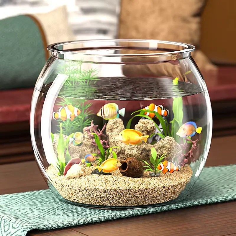 High Quality Compact Clear Pla - Planted Aquarium For Goldfish review and price