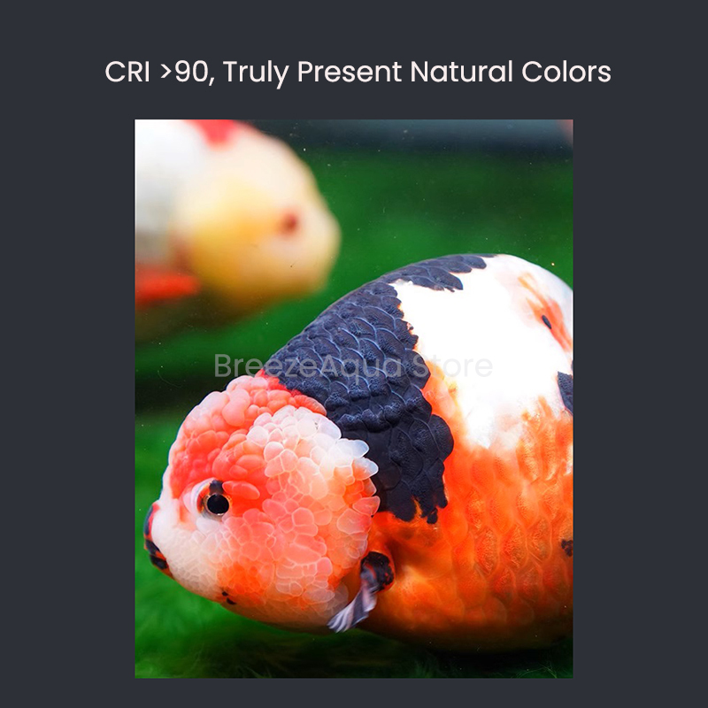 MAYIN Super Colour 100W Freshw - Planted Aquarium For Goldfish review and price