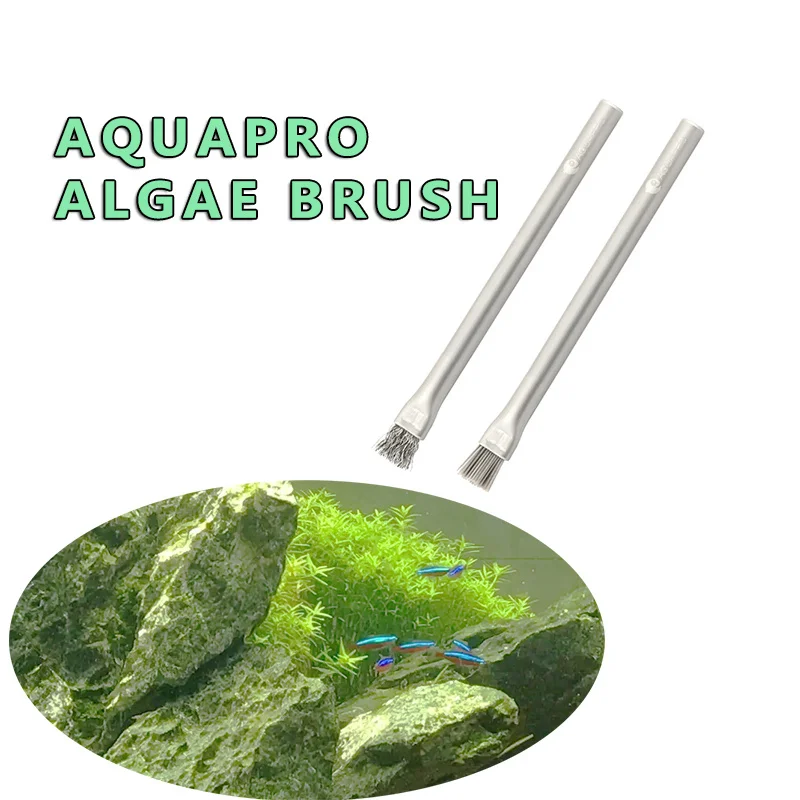 Aquapro Algae Brush Cleaning B - Aquarium Plant Utensils review and price
