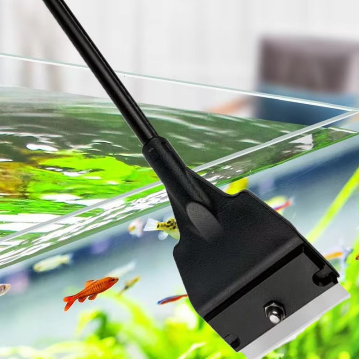 Fish Tank Glass Algae Scraper  - Planted Aquarium With Sand review and price