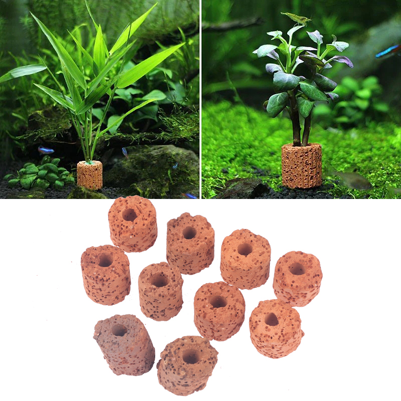 ^10Pcs Plant Ring Aquarium Fix - Aquarium Plant Utensils review and price