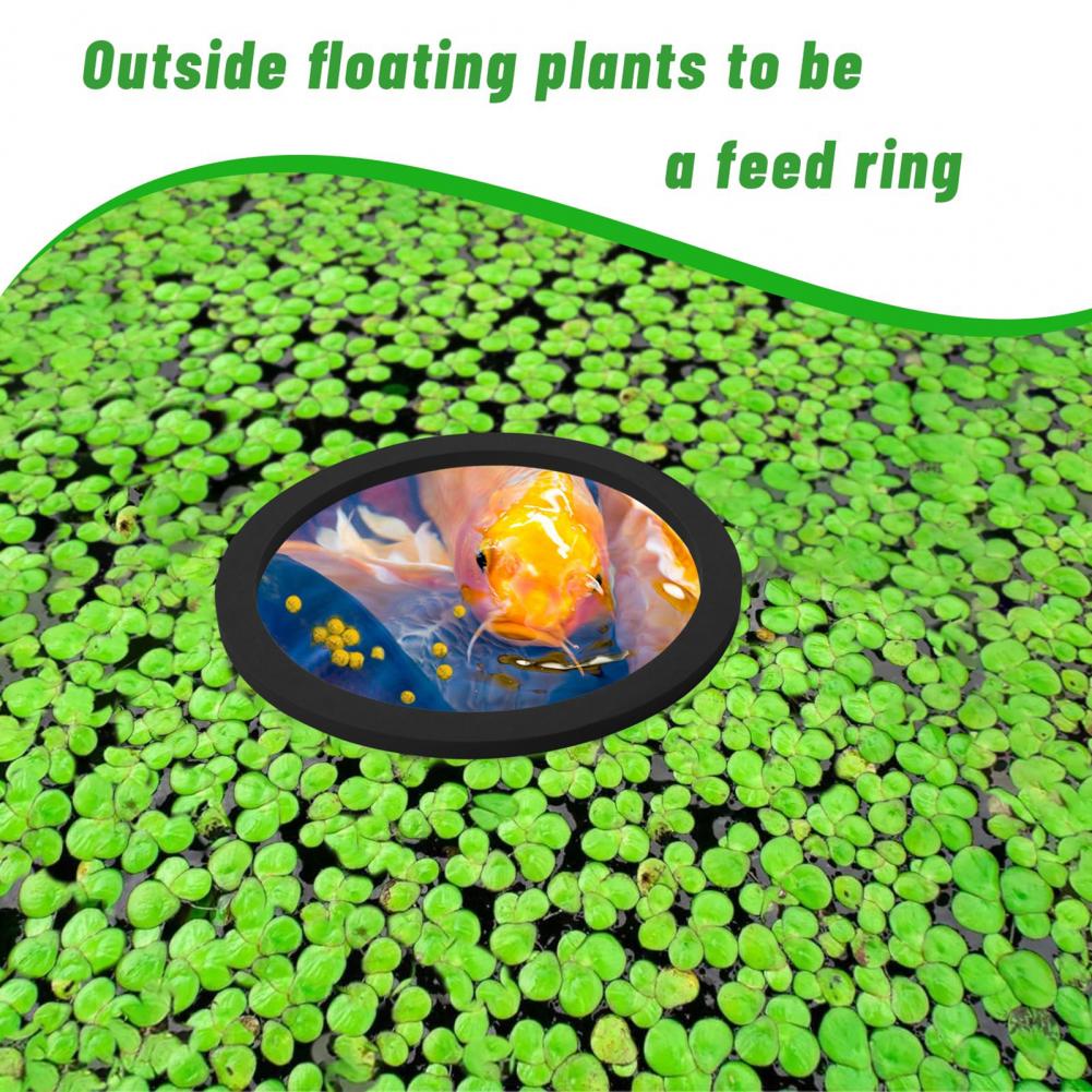 Eva Foam Floating Ring for Fis - Planted Aquarium For Goldfish review and price