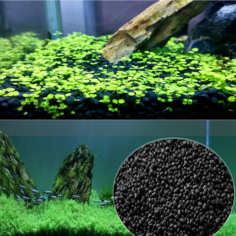 Fish  Sand Auarium Substrate 1 - Planted Aquarium With Sand review and price