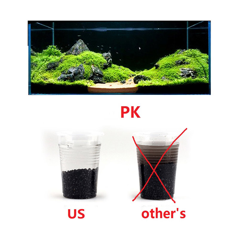 Fish  Sand Auarium Substrate 1 - Planted Aquarium With Sand review and price