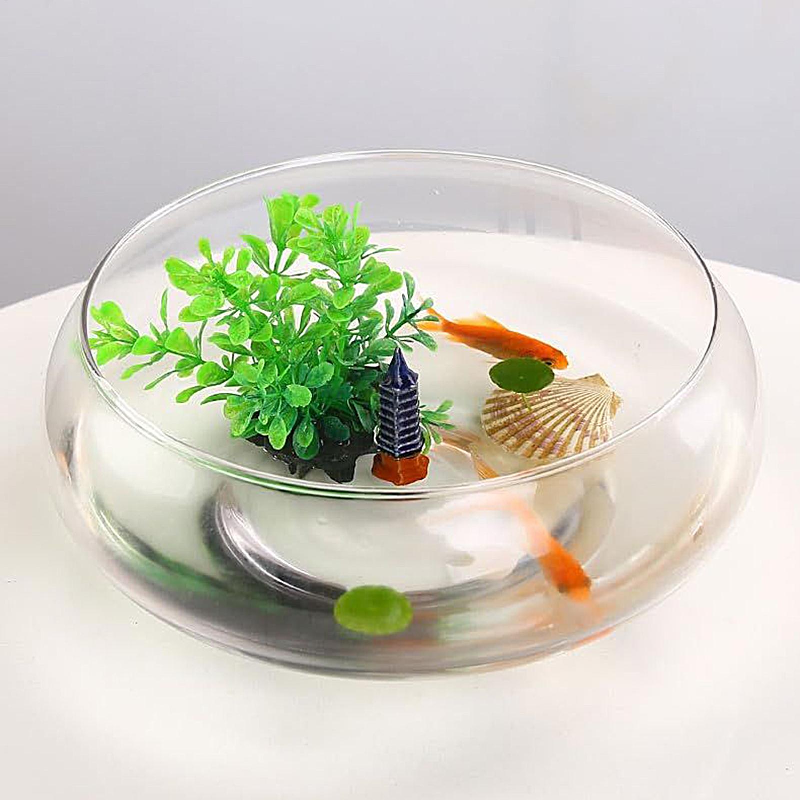 Fish Glass Bowl Glass Large Hy - Planted Aquarium For Goldfish review and price