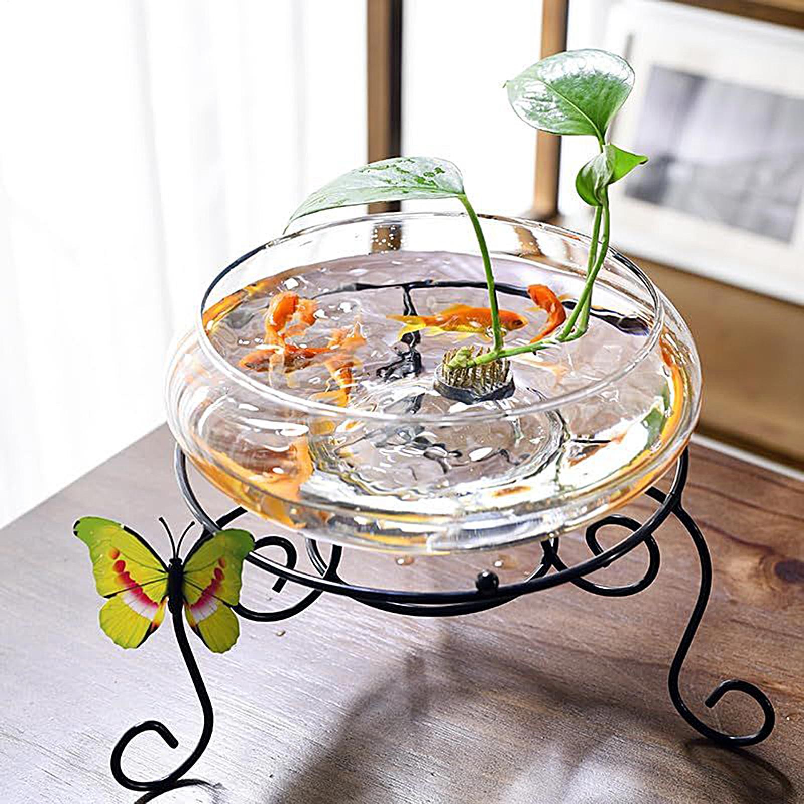 Fish Glass Bowl Glass Large Hy - Planted Aquarium For Goldfish review and price