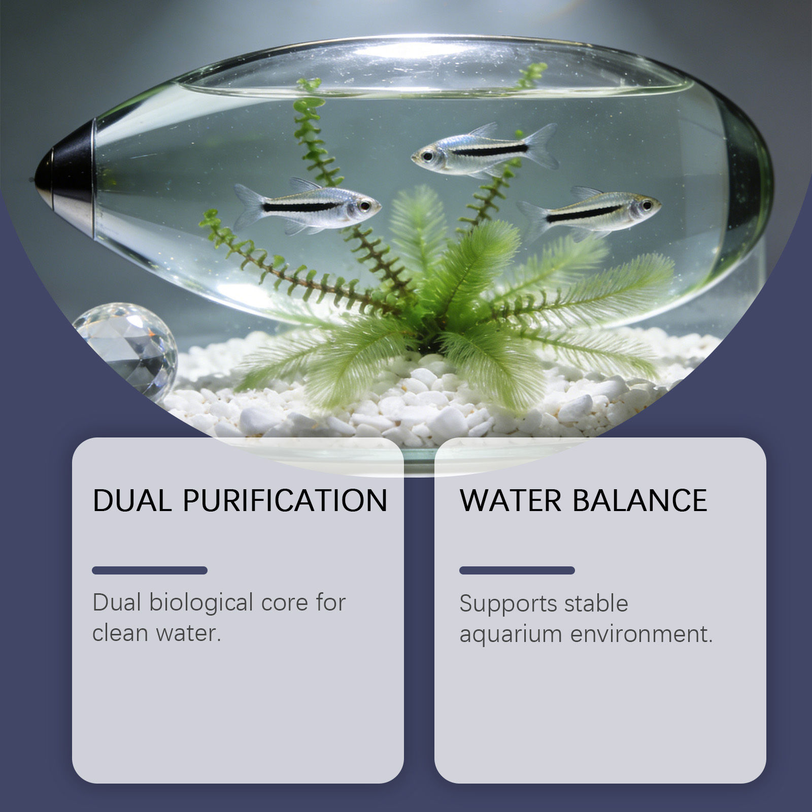 Algae Remover Tablets for Aqua - Planted Aquarium Cloudy Water review and price