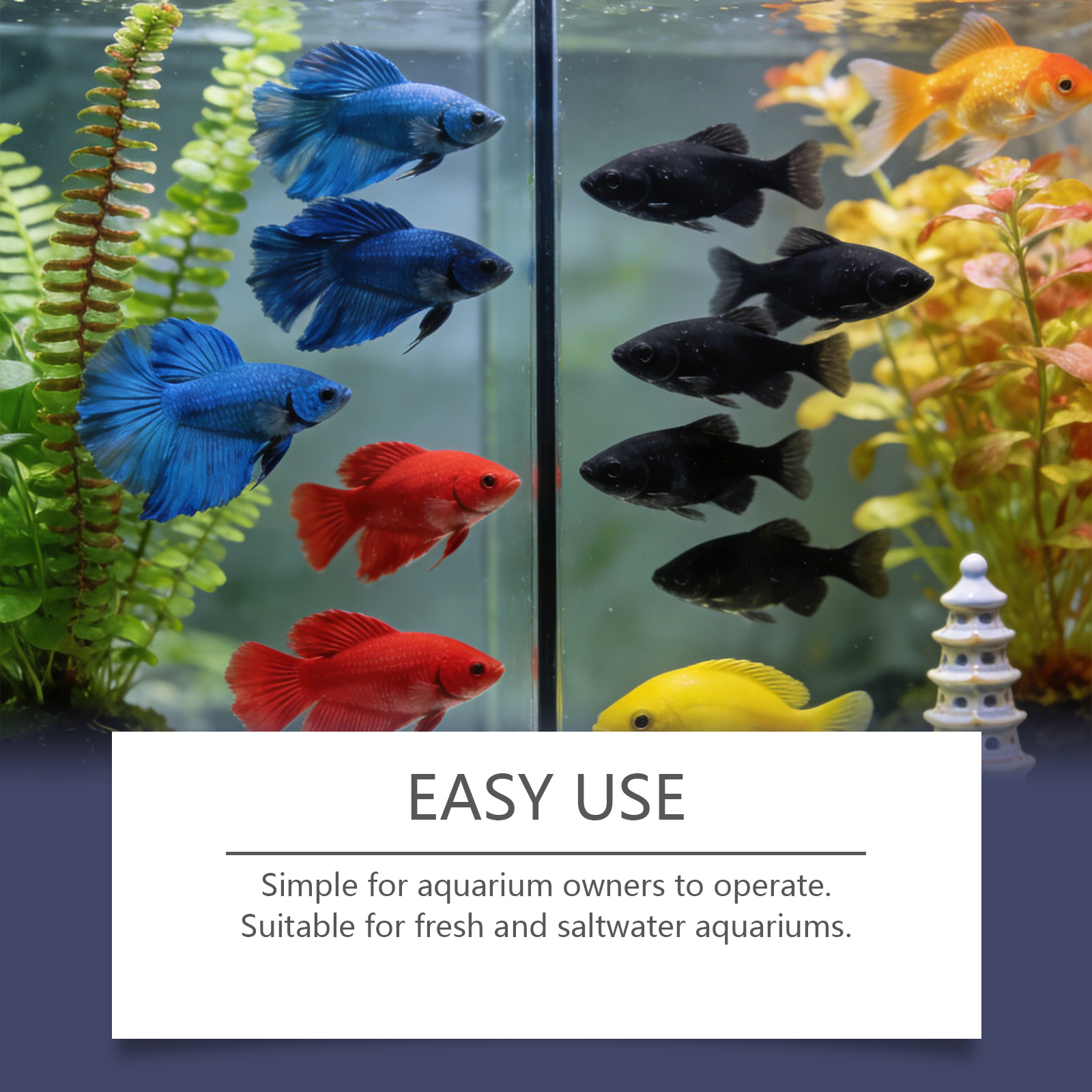 Algae Remover Tablets for Aqua - Planted Aquarium Cloudy Water review and price