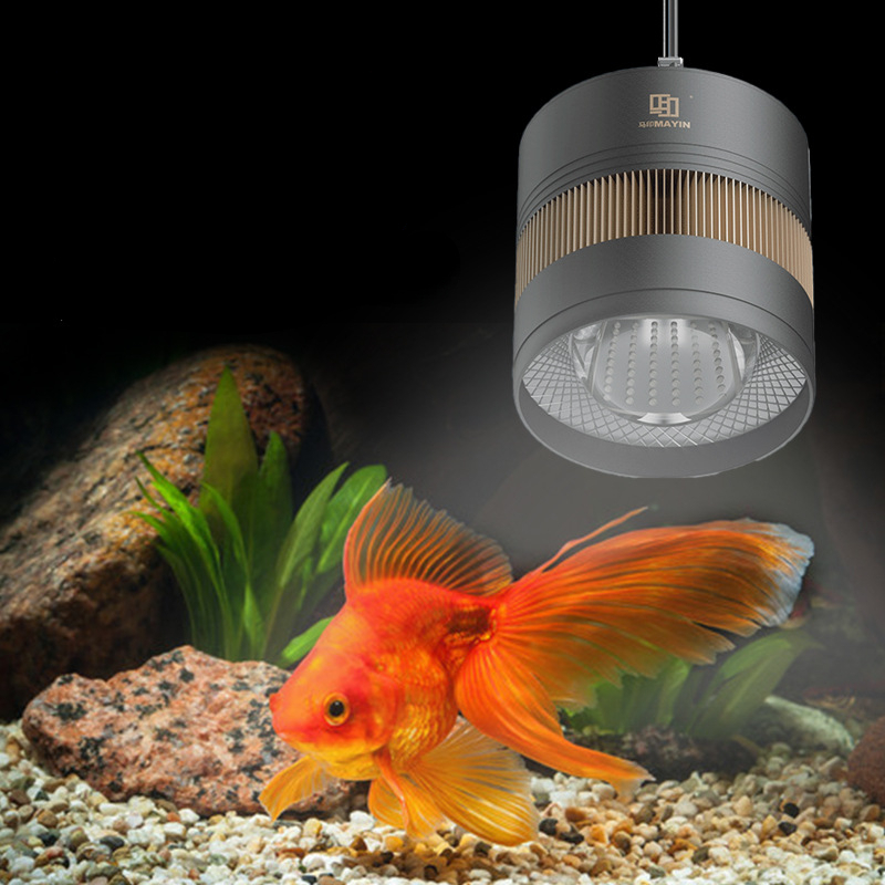 MAYIN Aquarium Full Spectrum L - Planted Aquarium For Goldfish review and price